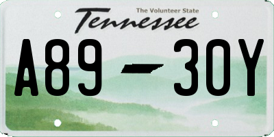 TN license plate A8930Y
