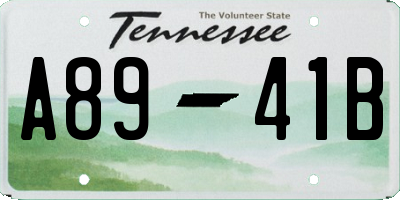 TN license plate A8941B
