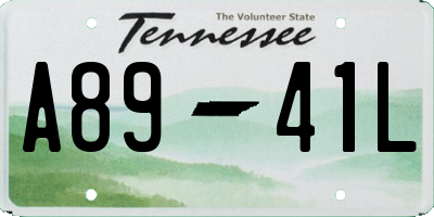 TN license plate A8941L