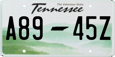 TN license plate A8945Z