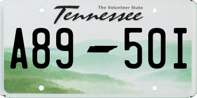 TN license plate A8950I