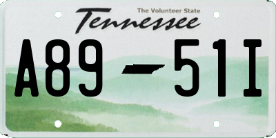 TN license plate A8951I