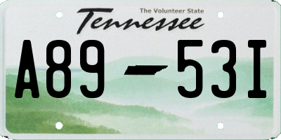 TN license plate A8953I