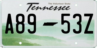 TN license plate A8953Z