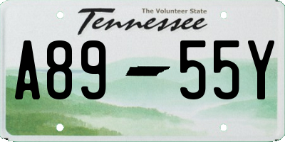 TN license plate A8955Y