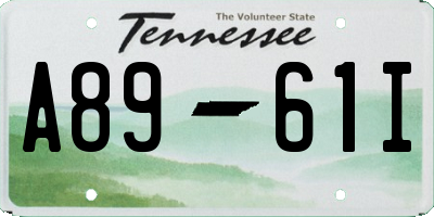 TN license plate A8961I