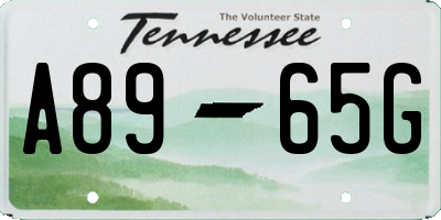 TN license plate A8965G