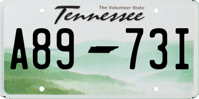 TN license plate A8973I