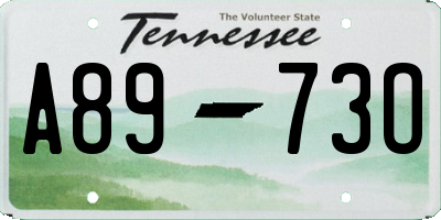 TN license plate A8973O