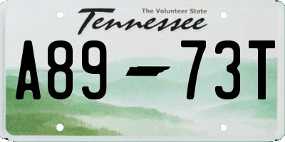 TN license plate A8973T