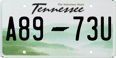 TN license plate A8973U