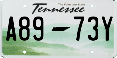 TN license plate A8973Y