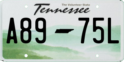 TN license plate A8975L