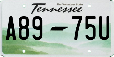TN license plate A8975U