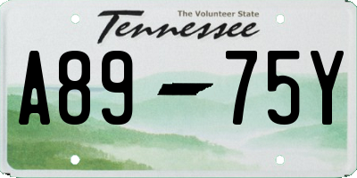TN license plate A8975Y