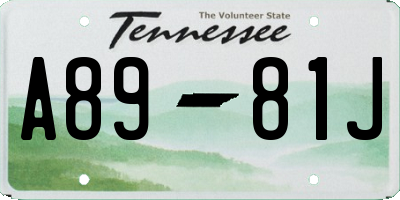 TN license plate A8981J