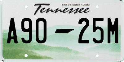 TN license plate A9025M