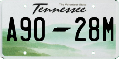 TN license plate A9028M