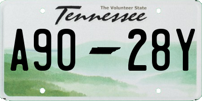 TN license plate A9028Y