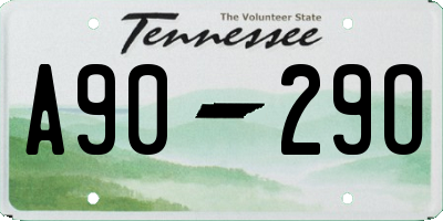 TN license plate A9029O