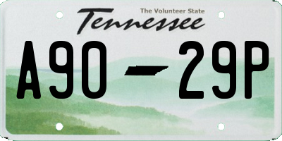 TN license plate A9029P