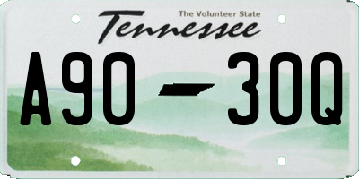 TN license plate A9030Q