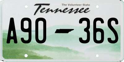 TN license plate A9036S