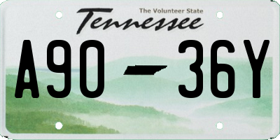 TN license plate A9036Y