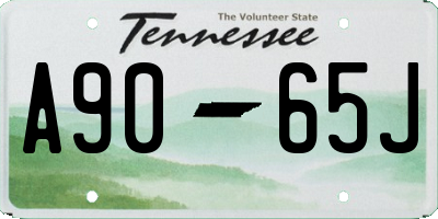 TN license plate A9065J