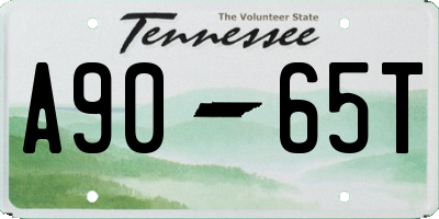 TN license plate A9065T