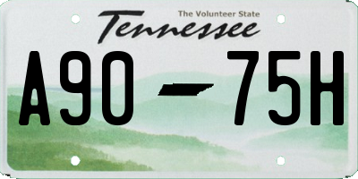 TN license plate A9075H