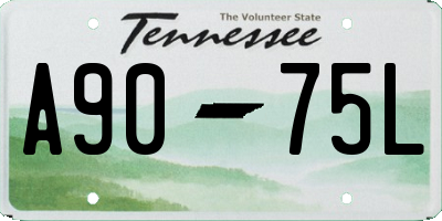 TN license plate A9075L