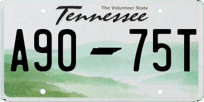 TN license plate A9075T