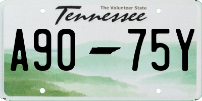 TN license plate A9075Y
