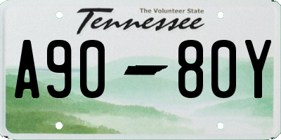 TN license plate A9080Y