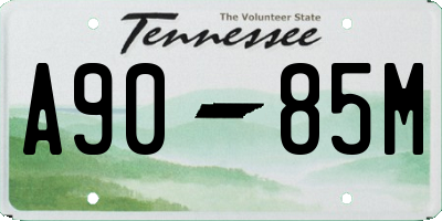 TN license plate A9085M