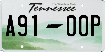 TN license plate A9100P