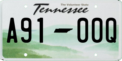 TN license plate A9100Q
