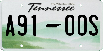 TN license plate A9100S