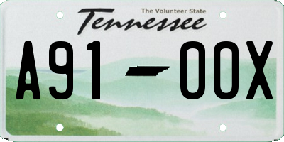 TN license plate A9100X