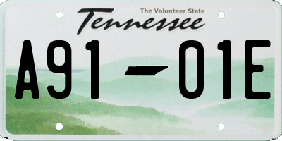 TN license plate A9101E
