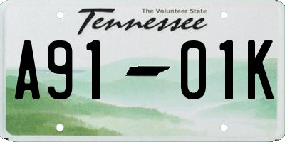 TN license plate A9101K