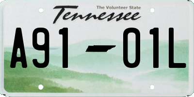 TN license plate A9101L