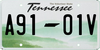 TN license plate A9101V