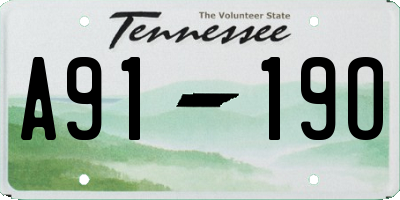 TN license plate A9119O