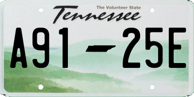 TN license plate A9125E