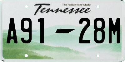 TN license plate A9128M
