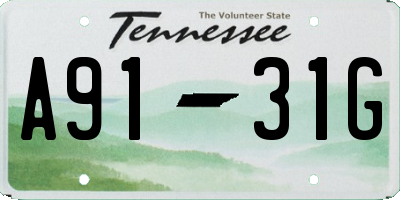 TN license plate A9131G