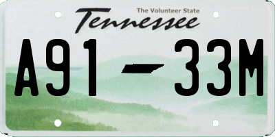 TN license plate A9133M