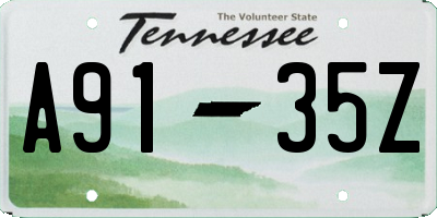 TN license plate A9135Z